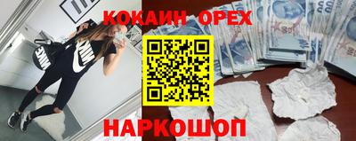 индика Кингисепп