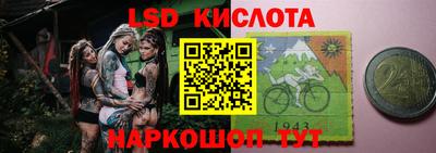 индика Кингисепп