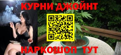 индика Кингисепп