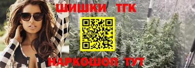 индика Кингисепп