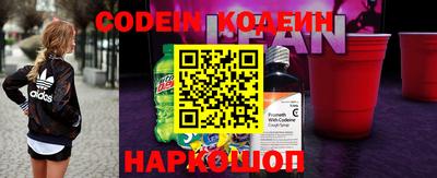 индика Кингисепп
