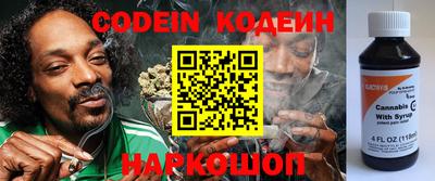 индика Кингисепп
