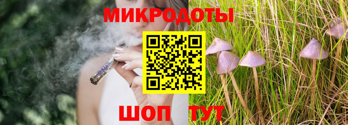 Псилоцибиновые грибы мухоморы Дивногорск