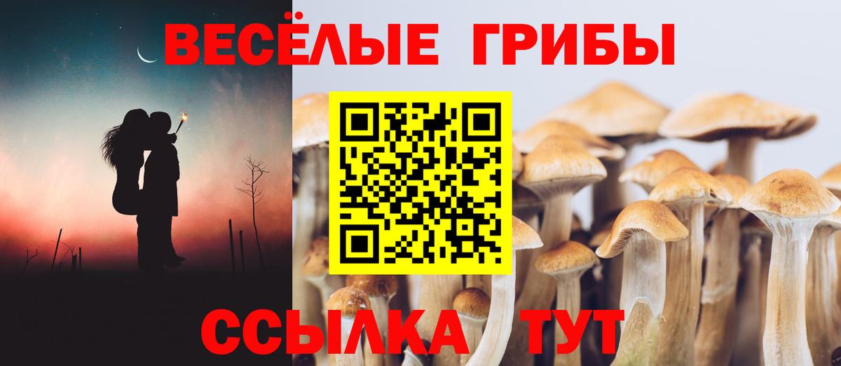 Дивногорск  даркнет сайт  Галлюциногенные грибы Psilocybe  Вход с VPN  Галлюциногенные грибы GOLDEN TEACHER 